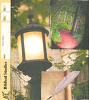 Cover Image for Biblical Studies 104
