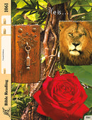 Bible Reading 61