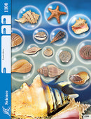 Biology 100 - 4th Ed