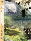 Biblical Studies 116