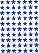 Cover Image for BLUE STARS (280)