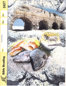 Cover Image for Bible Reading 57