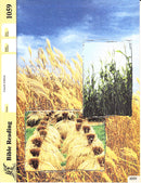 Cover Image for Bible Reading 59