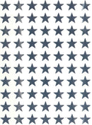 Cover Image for SILVER STARS (280)
