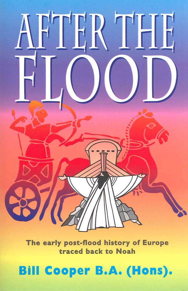 Cover Image for After The Flood - Literature Book