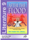Cover Image for After the Flood Key
