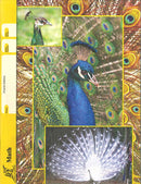 Cover Image for Maths 83 - 4th Edition  